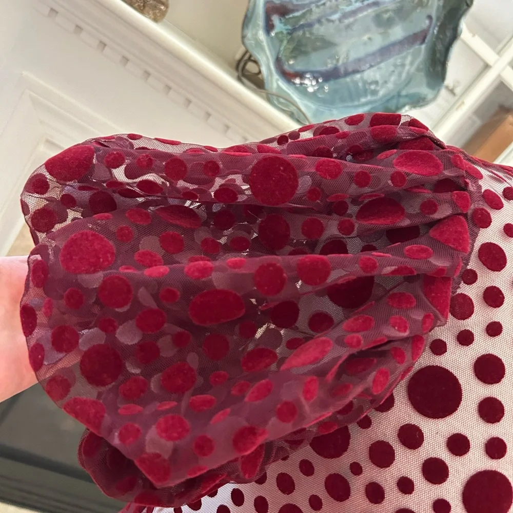 Haute Monde Burgundy Puff Sleeve Sheer Top - Picture 4 of 8